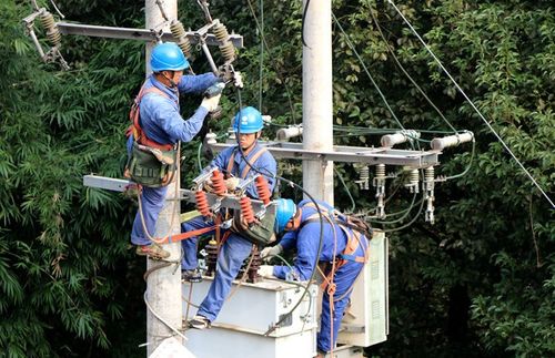 国网宜宾供电公司完成1.3亿元农网投资 筑牢乡村振兴电力根基