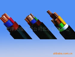 电力电缆技术专家刘国强的专业贡献与行业影响